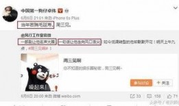 卓伟爆料吴大叔视频全集,吴大叔视频全集幕后真相大起底