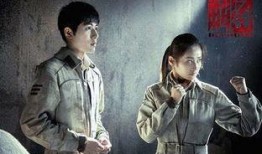 迷蝶电视剧在线观看,穿越时空的浪漫邂逅