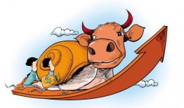 今日广州一线爆料电话,最新事件现场直击