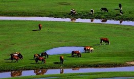草原先生最新爆料,娱乐圈幕后真相大曝光！